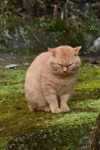 槵觸神社(宮崎県)