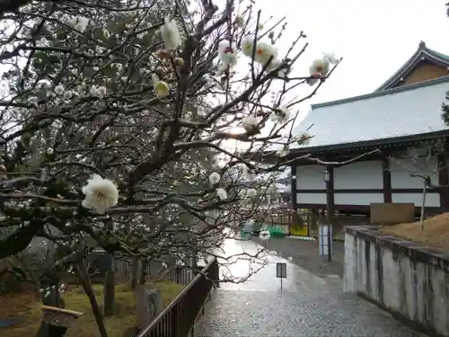 成田山新勝寺(千葉県)