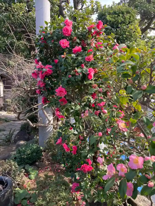 日蓮宗龍口山本龍寺(神奈川県)