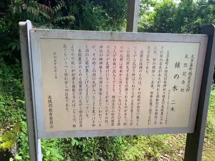 日枝神社(千葉県)