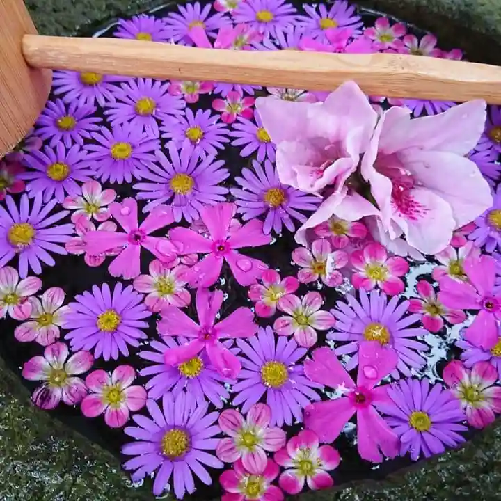 寿量山 速成寺の手水舎