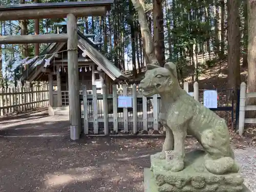 宝登山神社奥宮の狛犬