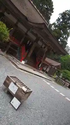 日吉大社の本殿・本堂