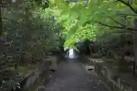 雲興寺(愛知県)