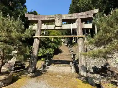 高木神社の{uncategorized: "未分類", other: "その他", undefined: "問題あり", building: "その他建物", grave: "お墓", sacred_gate: "鳥居", guardian: "狛犬", statue: "像", buddha: "仏像", history: "歴史", nature: "自然", garden: "庭園", animal: "動物", pagoda: "塔", temizu: "手水舎", mountain_gate: "山門・神門", sanctuary: "本殿・本堂", subordinate: "末社・摂社", art: "芸術", scenery: "景色", jizo: "地蔵", ema: "絵馬", goshuin: "御朱印", omikuji: "おみくじ", items: "授与品その他", amulet: "お守り", goshuincho: "御朱印帳", eats: "食事", festival: "お祭り", votive_dance: "神楽", shichigosan: "七五三参", wedding: "結婚式", experience: "体験その他", initially: "初詣", around: "周辺", anti_infection: "感染症対策"}