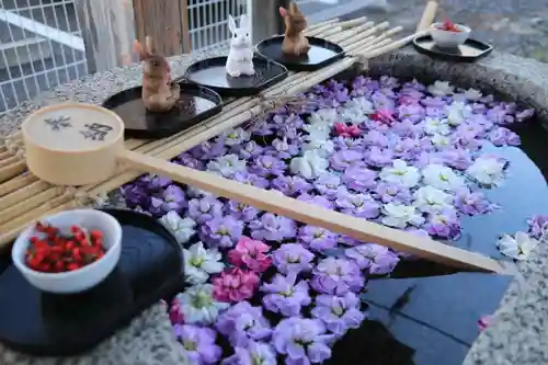 阿邪訶根神社の手水