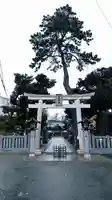 菊田神社の鳥居