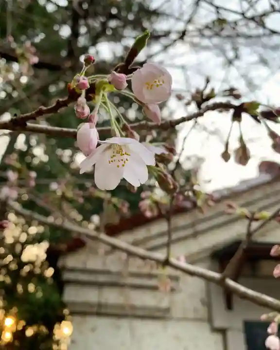 滑川神社 - 仕事と子どもの守り神(福島県)