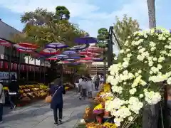 笠間稲荷神社(茨城県)