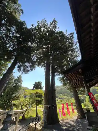高司神社〜むすびの神の鎮まる社〜(福島県)