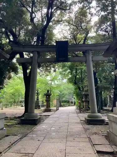 赤坂氷川神社の鳥居