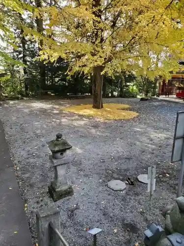 下野 星宮神社(栃木県)