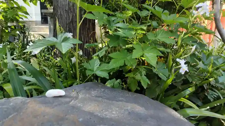 大将軍八神社(京都府)
