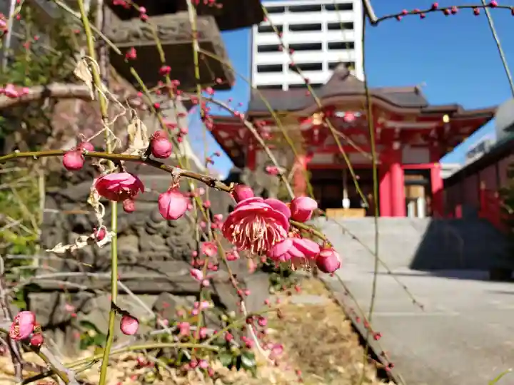 成子天神社の山門・神門