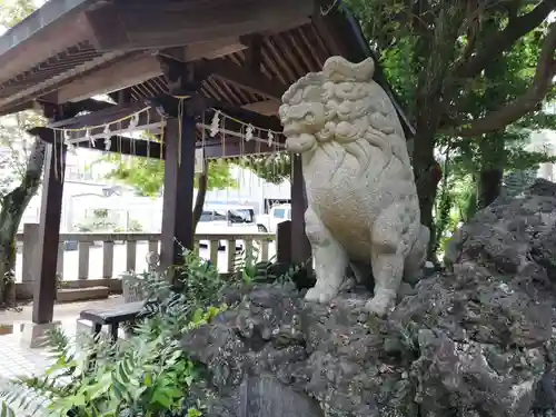 柏諏訪神社の狛犬