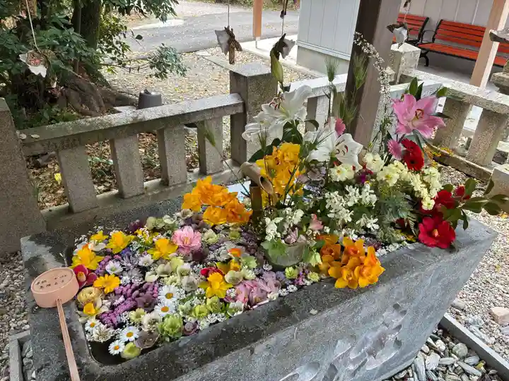 立江八幡神社(徳島県)