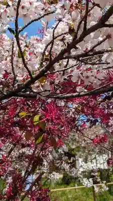橋寺 放生院(京都府)