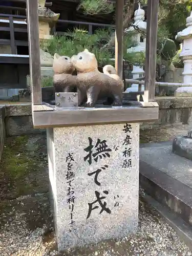 白國神社の狛犬