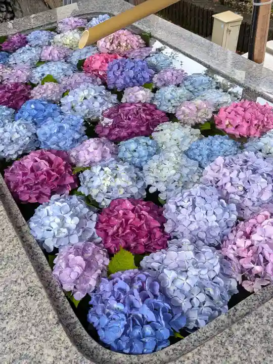 桜神宮(東京都)