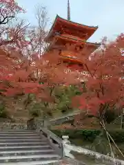 清水寺の自然