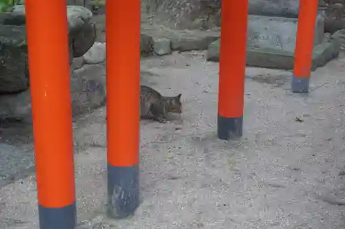 水鏡天満宮の動物