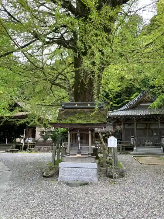 正法寺(滋賀県)