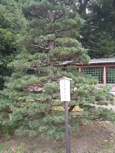 志波彦神社・鹽竈神社(宮城県)
