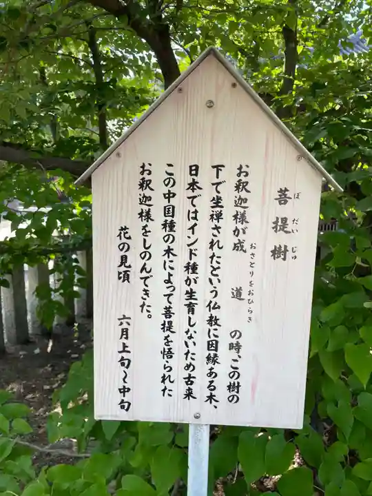 鶴林寺の歴史