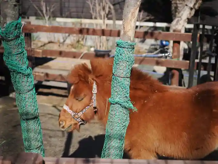 五方山熊野神社(東京都)