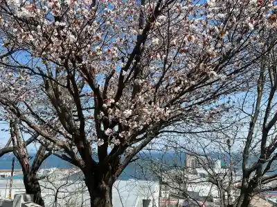 水天宮の{uncategorized: "未分類", other: "その他", undefined: "問題あり", building: "その他建物", grave: "お墓", sacred_gate: "鳥居", guardian: "狛犬", statue: "像", buddha: "仏像", history: "歴史", nature: "自然", garden: "庭園", animal: "動物", pagoda: "塔", temizu: "手水舎", mountain_gate: "山門・神門", sanctuary: "本殿・本堂", subordinate: "末社・摂社", art: "芸術", scenery: "景色", jizo: "地蔵", ema: "絵馬", goshuin: "御朱印", omikuji: "おみくじ", items: "授与品その他", amulet: "お守り", goshuincho: "御朱印帳", eats: "食事", festival: "お祭り", votive_dance: "神楽", shichigosan: "七五三参", wedding: "結婚式", experience: "体験その他", initially: "初詣", around: "周辺", anti_infection: "感染症対策"}