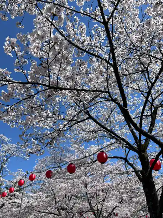 櫻岡大神宮の自然