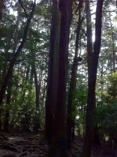 由岐神社の自然