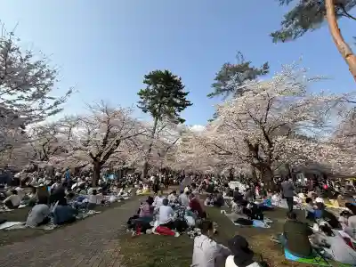武蔵一宮氷川神社の{uncategorized: "未分類", other: "その他", undefined: "問題あり", building: "その他建物", grave: "お墓", sacred_gate: "鳥居", guardian: "狛犬", statue: "像", buddha: "仏像", history: "歴史", nature: "自然", garden: "庭園", animal: "動物", pagoda: "塔", temizu: "手水舎", mountain_gate: "山門・神門", sanctuary: "本殿・本堂", subordinate: "末社・摂社", art: "芸術", scenery: "景色", jizo: "地蔵", ema: "絵馬", goshuin: "御朱印", omikuji: "おみくじ", items: "授与品その他", amulet: "お守り", goshuincho: "御朱印帳", eats: "食事", festival: "お祭り", votive_dance: "神楽", shichigosan: "七五三参", wedding: "結婚式", experience: "体験その他", initially: "初詣", around: "周辺", anti_infection: "感染症対策"}