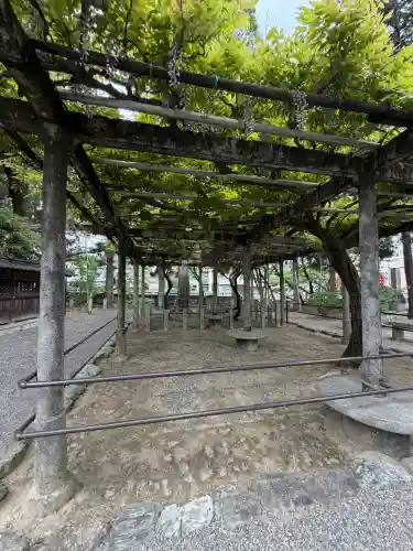 立木神社の{uncategorized: "未分類", other: "その他", undefined: "問題あり", building: "その他建物", grave: "お墓", sacred_gate: "鳥居", guardian: "狛犬", statue: "像", buddha: "仏像", history: "歴史", nature: "自然", garden: "庭園", animal: "動物", pagoda: "塔", temizu: "手水舎", mountain_gate: "山門・神門", sanctuary: "本殿・本堂", subordinate: "末社・摂社", art: "芸術", scenery: "景色", jizo: "地蔵", ema: "絵馬", goshuin: "御朱印", omikuji: "おみくじ", items: "授与品その他", amulet: "お守り", goshuincho: "御朱印帳", eats: "食事", festival: "お祭り", votive_dance: "神楽", shichigosan: "七五三参", wedding: "結婚式", experience: "体験その他", initially: "初詣", around: "周辺", anti_infection: "感染症対策"}