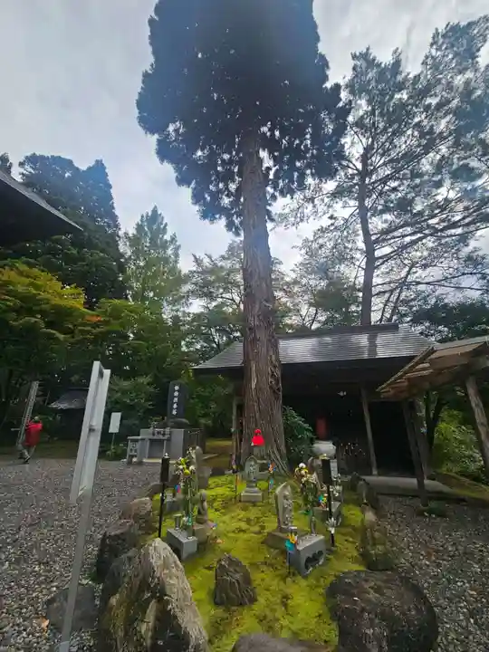 如法寺(鳥追観音)(福島県)