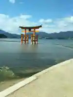 厳島神社の鳥居