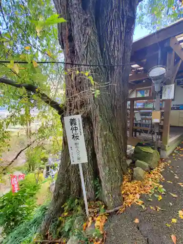 寳蔵寺(長野県)
