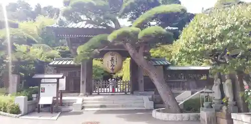 鶴岡八幡宮の山門・神門