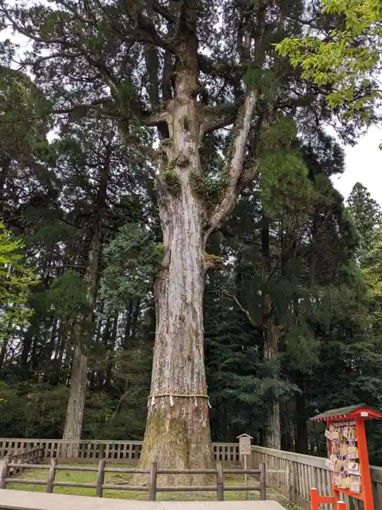 霧島神宮(鹿児島県)