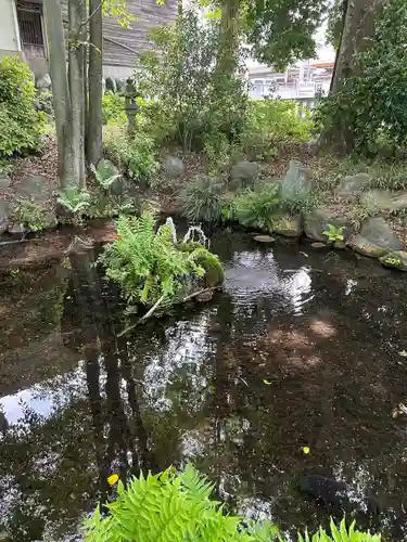 秩父今宮神社(埼玉県)
