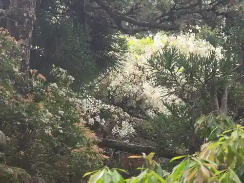 船戸神社(奈良県)