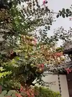 西方山極楽寺(岐阜県)