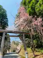土津神社|こどもと出世の神さまの鳥居