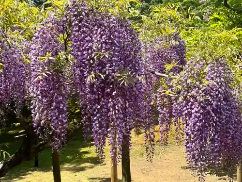 歌泉堂（春日大社神苑萬葉植物園内鎮座）(奈良県)