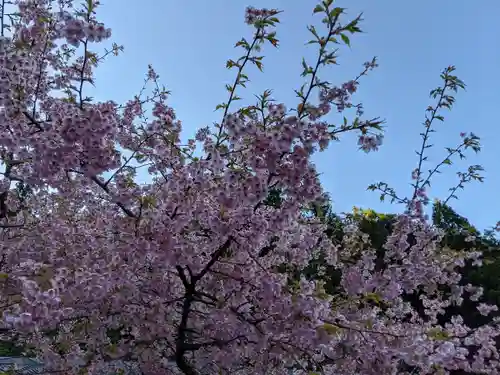 鳳来寺山奥の院(愛知県)