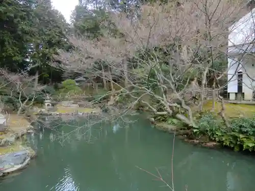 くろ谷 金戒光明寺(京都府)