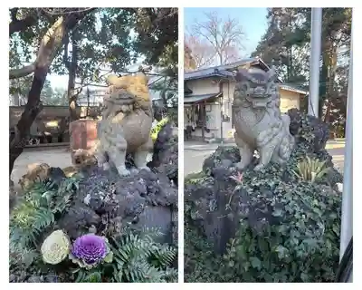 柏諏訪神社の狛犬