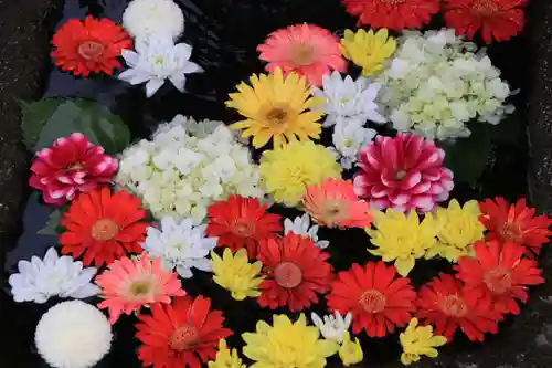 大鏑神社の手水舎