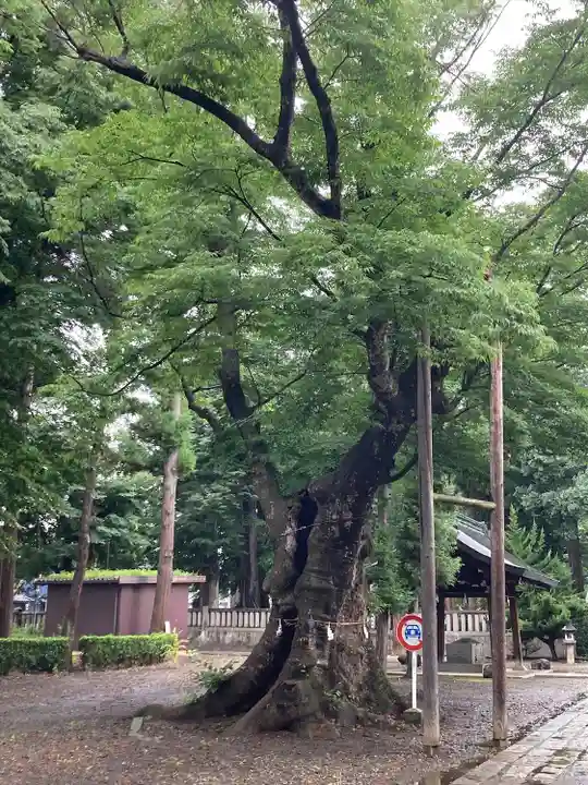 武水別神社(長野県)
