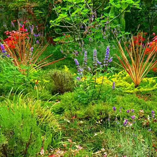 寿量山　速成寺の自然
